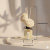 Aronica Twin Sola Diffuser 160ml_Eucalyptus and Bergamot Essential Oil Flower