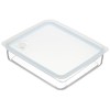 Pearl Metal HB-2629 Easy Clean Shallow Type Airtight Storage Container,