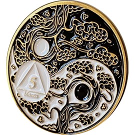 5 Month AA Medallion Ying Yang Black White Color Serenity Prayer Ship