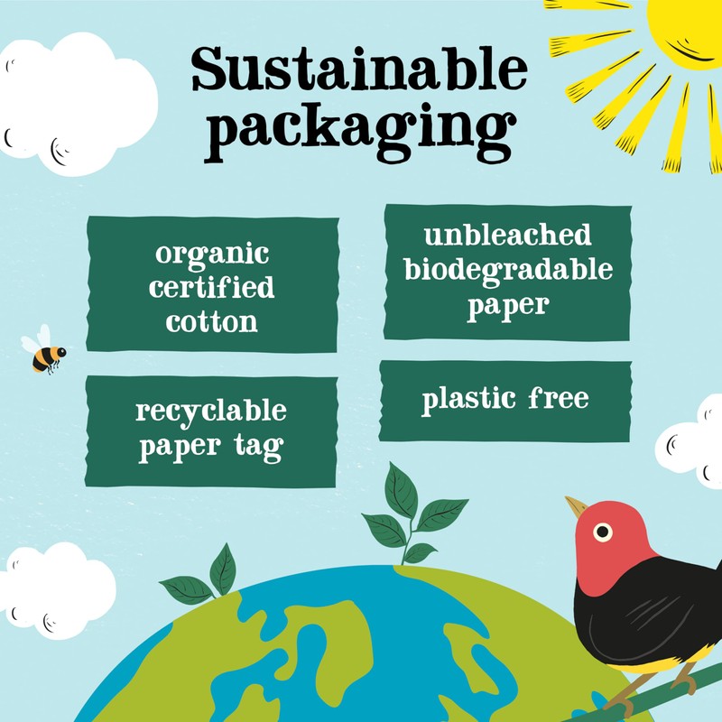 CLIPPER Pure Green Teabags 80bags (PACK OF 1)