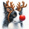 Single Luxury Border Collie Christmas Card (RUD)