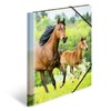HERMA Portfolio Folders A4 Horse Set of 3 Children's Plastic