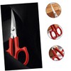 PACKOVE 2Pcs Stainless Steel Beauty Scissors with Curved and Straight