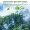 XIXICHA Lishan Oolong Tea Taiwan High Mountain Tea Oolong Tea