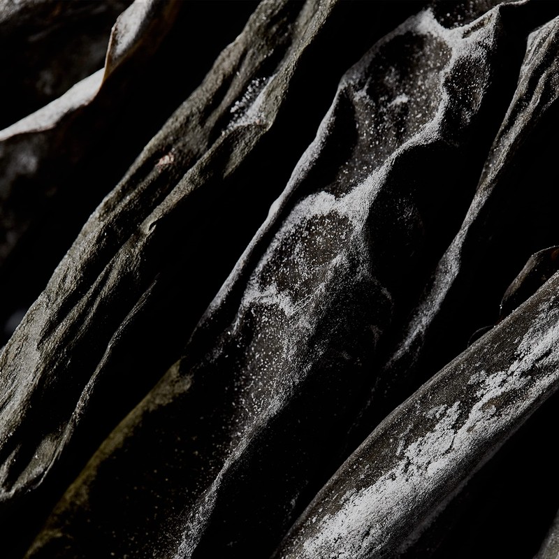 SHIRO Gome Kelp Serum, 2.4 fl oz (60 ml) (Without