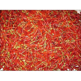 Chile Pequin Pepper Seeds, 150+ Non-GMO Heirloom Seeds Patio & Garden