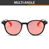 Polarized Retro Round Sunglasses Men Women Tinted Mirror Lens Round