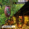 Solar Lanterns Outdoor Light - Solar Powered LED Hummingbird Glass