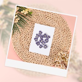 M METERXITY 12-Pack Dried Pressed Flowers for Resin, Real Natural Bulk Dry Floral for Crafts/DIY Jewelry/Soap Making/Scrapbooking/Candle/Epoxy Resin Supplies/Flower Painting [Light Purple]