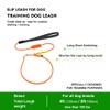 BeauGo Slip Leads for Dogs,Top Speed Training Dog Leash,2-in-1 No-Pull