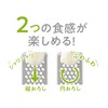 Takagi Takagi Kanesada Vegetable Cut, Stainless Steel Grater, Includes Container,