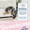 Benebone Fishbone Puppy 2-Pack Mini 12 cm (81005421033)