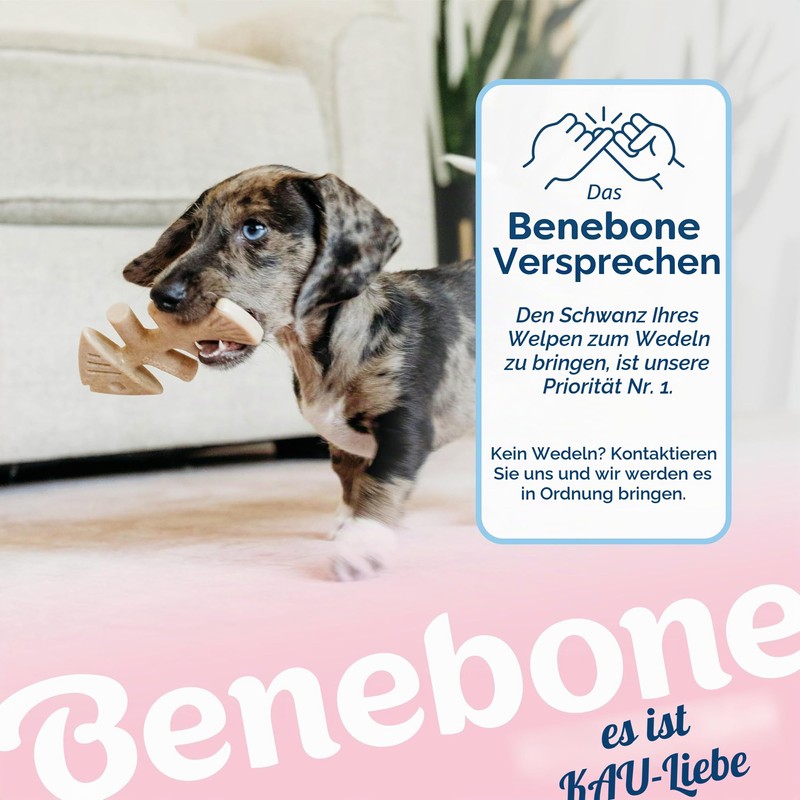 Benebone Fishbone Puppy 2-Pack Mini 12 cm (81005421033)