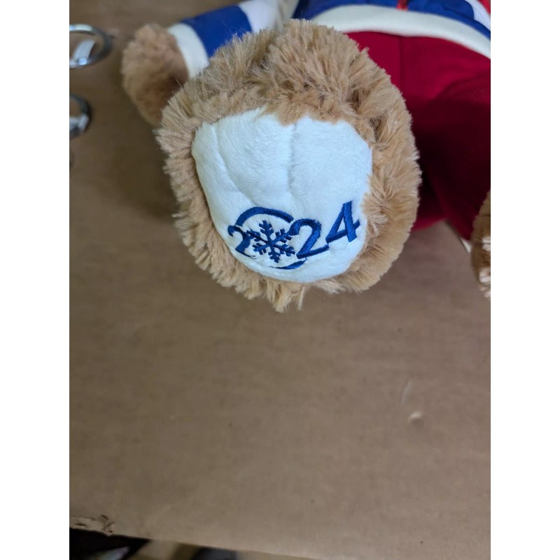 Christmas Holiday Time Snowflake 2024 Teddy Bear, Brown Red WhiteJacket,