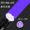 Black Light, UV Light, LED Flashlight, Ultraviolet 395nm, Aluminum Alloy