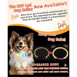 Led Dog Collar【LED Brightness Increased by 83%】 OGURIYA USB-C Rechargeable Dog Necklace Light, Pet Safety Collar Makes Your Beloved Dogs Be Seen at Night for Small Medium Dogs 13.78in Length(35CM)
