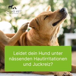 Ichtho vet Derma Gel by Heel Vet - Gentle and Effective Care for Wet Skin Irritations for Pets Natural Intensive Care Made in Germany