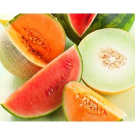 NorthWood Distributing Melon - Premium Fragrance Oil