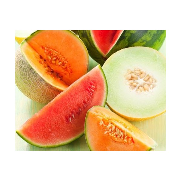 NorthWood Distributing Melon - Premium Fragrance Oil