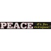 Licenses Products CDX Peace for Everyone Sticker