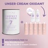 COLOR.IT by BM Perfect Blonde Bleaching Powder 500 g, Professional