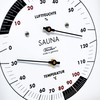 Fischer 188TH-03 Sauna Thermohygrometer 170 mm Hair Hygrometer and Bimetal
