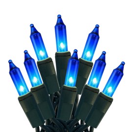 HISHINY Christmas Lights 100 Count Blue Christmas Tree String Lights with Green Wire for Outdoor Indoor Christmas Decorations Wedding Decorations Valentines Day Decor,UL Certified (21feet)