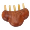 Sandalwood Meridian Comb Nose Massager Rosewood Scalp Massage Comb Set