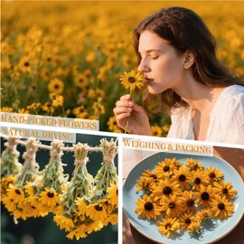 Sukh Dried Snow Chrysanthemum - Natural Dried Flowers and Herbs 3oz Bulk Chrysanthemum for Soap,Candle,Resin,Bath Balls Making and Wedding Home Party Decoration