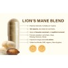 Lion's Mane + Maca + Ginseng | 4 Adaptogenos |