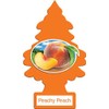 Little Trees Variety Pack (5 Count) Fruity Edition