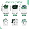 Pack of 12 3D Flowers Cute Fridge Magnets Cactus Magnetic