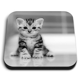 1 x Square MDF Fridge Magnet - Grey Tabby Bengal Pet Kitten Animals 41115
