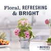 Mrs. Meyer's Clean Day Room Freshener Spray Bottle, Geranium Scent,