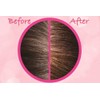 [Sios Color Treatment] Light Brown 2P + Bonus [Dyes Gray