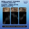 Clairol Nice'n Easy Permanent Hair Dye, 1 Blackest Black Hair