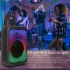 KOCASO Karaoke Machine with Wireless Microphones Speaker RGB DJ Lights