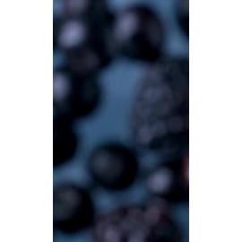Suplemento Cla + Carnitina 333gr 33 Servicios 43 Supplements