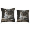 Domestic Longhair Cat Reading Book Throw Pillow