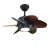 Litex Industries 12032 Gaskin Ceiling Fan, 24, Bronze