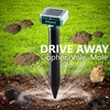 Mole Repellent Stakes 2 Pack - Gopher Repellent Ultrasonic Solar