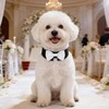 HDGDT White Dog Bow Tie Collar, Adjustable Formal Pet Collar
