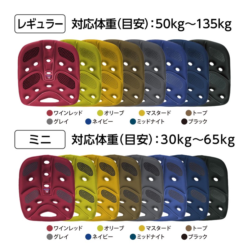 BackJoy Pelvic Support Seat, Pelvic Correction, Posture Improvement, Relief Grip,