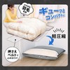 Astro 171-05 Activated Charcoal Deodorizing Feather Duvet Storage Bag, Single,