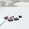 BUGUUYO Plastic Mini Gemstone Display Box Mini Specimen Case for
