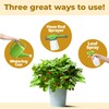 Potash Fertilizer – Liquid Potassium Supplement for More Blooms, Better