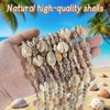 JUXINGDAZYF 12pcs Hawaii Shell Luau Leis Bulk Sea Shell Leis