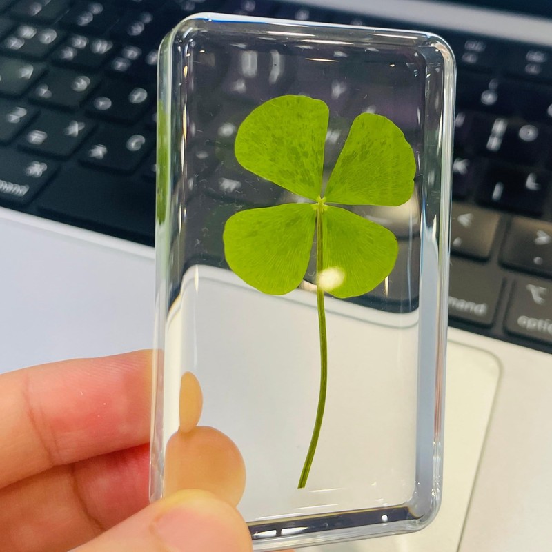 Real 4 Leaf Clover in Lucite Resin (3, Clover Only)