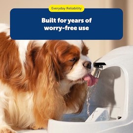 PetSafe Drinkwell - Filtros de carbón de repuesto, filtros de fuente de agua para perros y gatos, Blanco, Paquete de 3                                