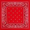 Unbranded Bandana Navy & Red Duo Pack